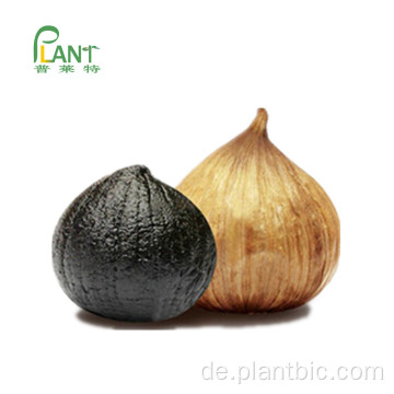 Plantbio Natürliches fermentiertes schwarzes Knoblauch-Extrakt-Pulver reiner schwarzer Knoblauchpulver